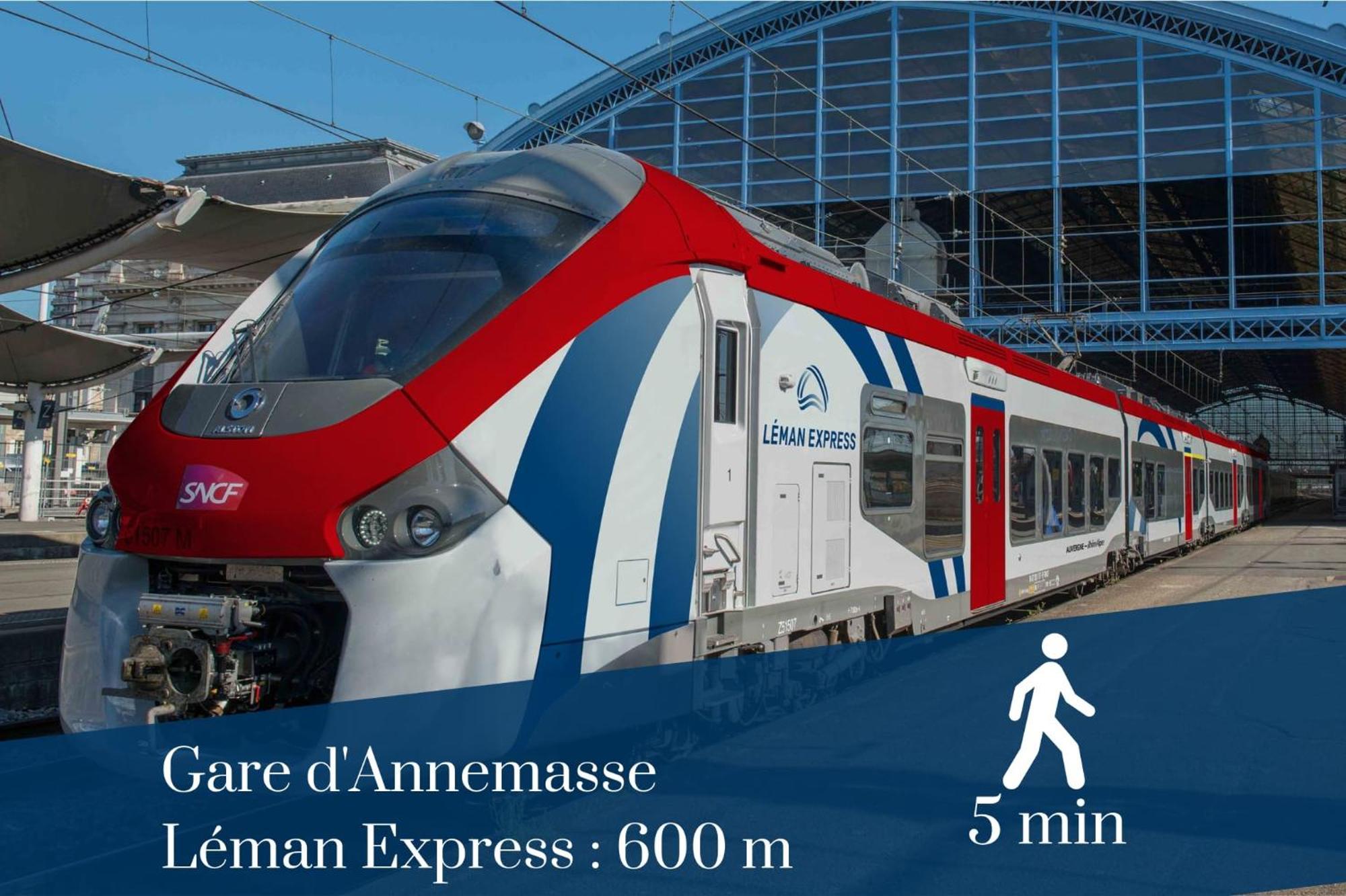 Homey Forest - Hypercentre - Proche Gare Et Tram - Wifi & Netflix Annemasse Exterior photo